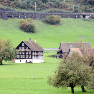 Abschluss der Inventarbereinigung in Arth-Goldau